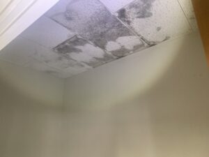 奈良市　体育館　天井　屋根　雨漏り　漏水改善工事　ダイタク　DAITAKU　奈良　生駒