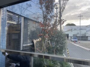 奈良市　オフィスビル　ガラス交換　網入りガラス　防火　ダイタク　DAITAKU　奈良　生駒